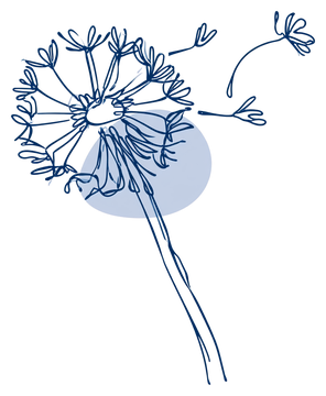 Pusteblume, deren Samen davonfliegen